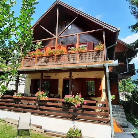 Family House Villa Busteni Exterior photo