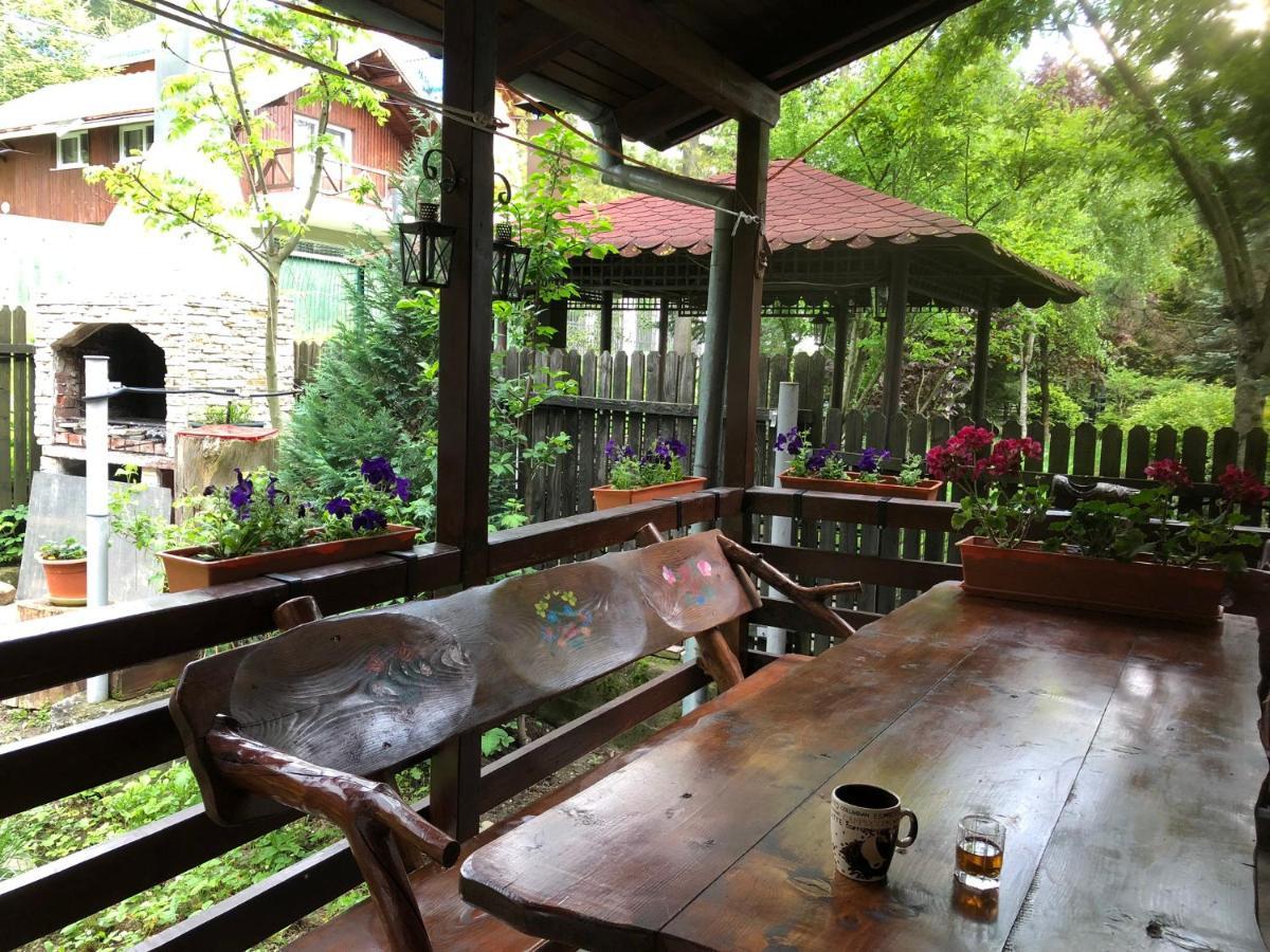 Holiday home Family House Busteni