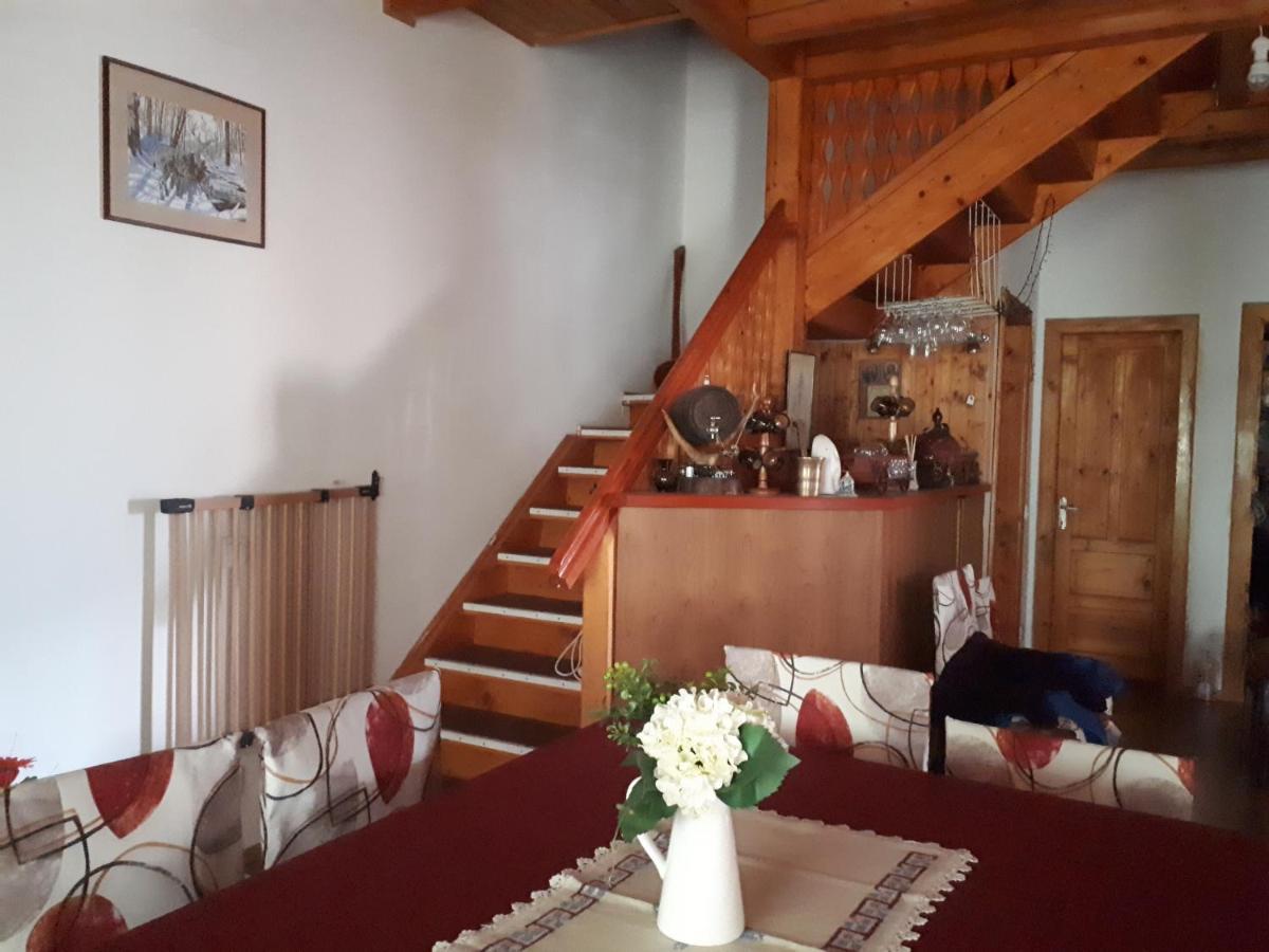 Family House Busteni