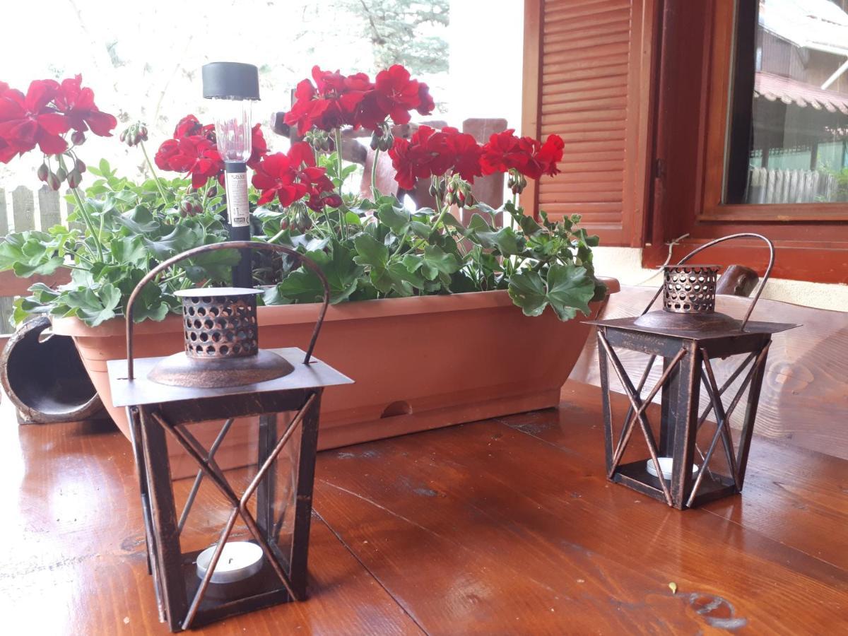 Family House Holiday home Busteni