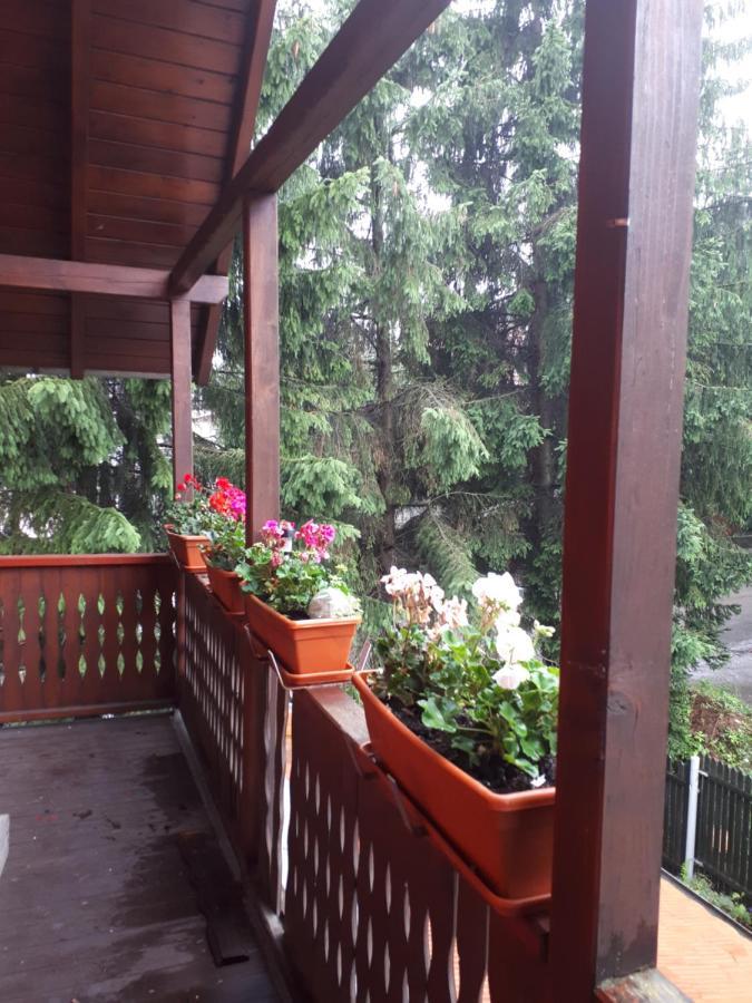 Family House Busteni